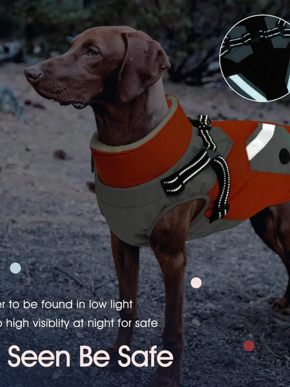 IECOii Dog Coat for Large Dogs